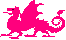 Pink Dragon