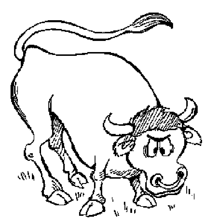 Bull