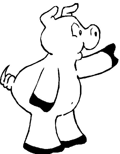 Pig