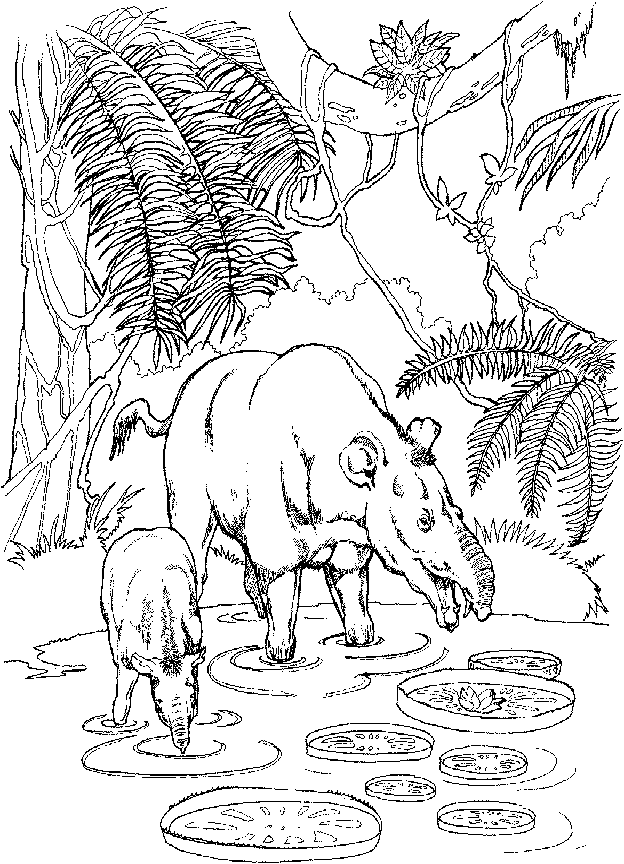 Pyrotherium lived during the Oligocene period. The name Pyrotherium, pronounced 'PY-TO-TREE-REE-UM', means 'fire beast', as the bones were found in beds of ancient volcanic ash mostly in the area that is now Argentina.