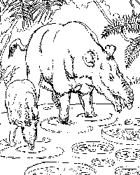 Baby Pyrotherium