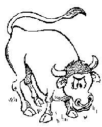 Bull