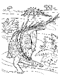 Kentrosaurus