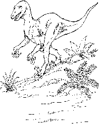 Megaraptor