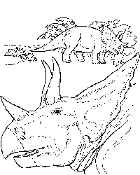 Triceratops