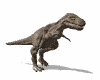 Baby Tyrannosaurus