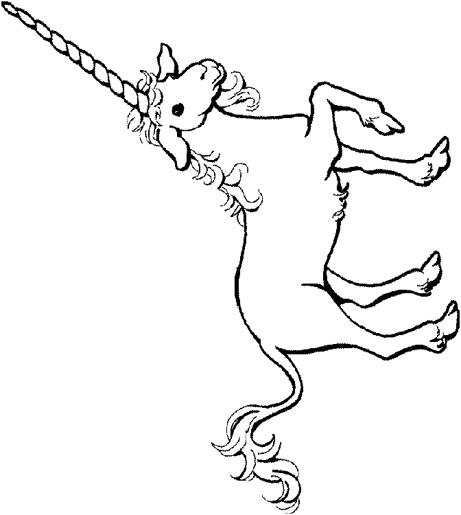 Unicorn