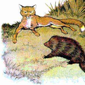 Fox and Hedgehog