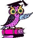 Smart Owl