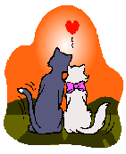 Valentine Cats