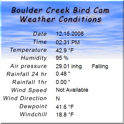 Boulder Creek, California Bird Feeder Weather Observations